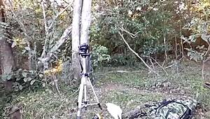 Wild woods crossdressing adventure with tigresa