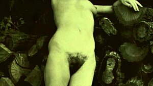 vintage hairy beaver antique