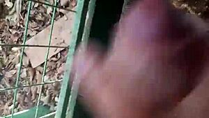 My Friend's Hard Like a Pole, I Jerked Off Alone.