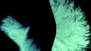 My secret life vintage beauty