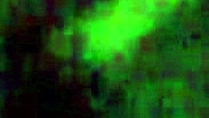 Lil freak shows off small tits