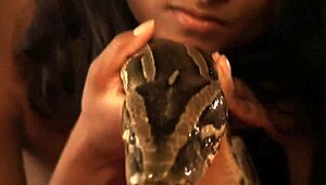 Sexy Asian MILF Delivers Handjob And Blowjob