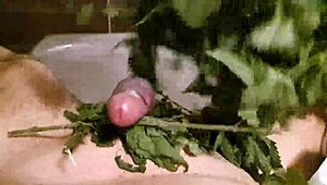 Exploring the wild side with stinging nettle play in a secluded forest. It’s a daring fetish adventure.