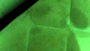 gay verification video with hot guys fucking