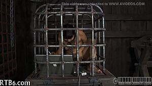 dominant women dominating submissive partners