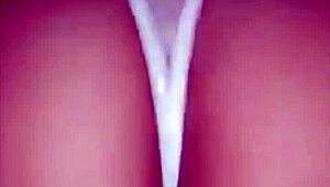 novinhas giving their tight asses for anal fucking