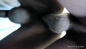 Black Africans Kalamagi and Mukowu enjoy bareback fun