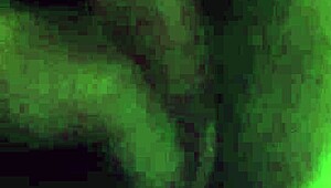 What a Delicious Pussy! Amateur Babe Shows Off Her Tight Delight!