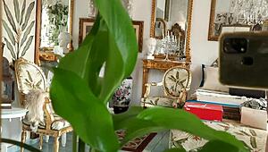 watch this mature gay guy stroke his huge cock solo?