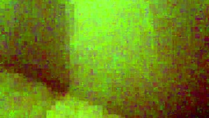 这拉丁妹爱不爱猛骑大屌？