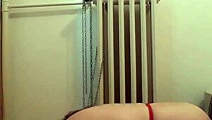 European Slave Dog Training