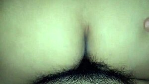 Here Giving Good Bounces For You