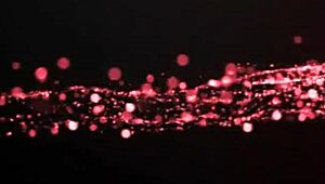 Luis Garay在家多姿势干纹身骚货