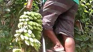 corno, vai buscar banana e leva galha, mas o que tá rolando aqui?