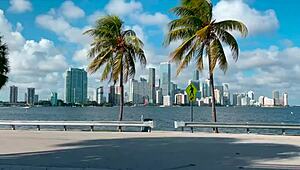 Wow, check out MIAMI VLOG with Carmela Clutch and Selena Blaze!