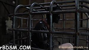 Clamped Chick Gets Anal Hook With Toy Discipline