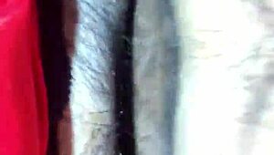 Having great sex with my wife