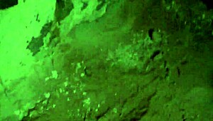 Dirty Feet Fetish Involving Licking and Worship