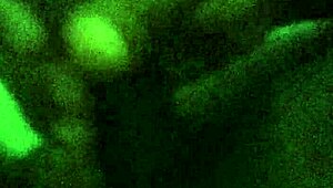 why watch this teen masturbating and cumming hard?