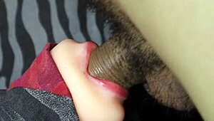 i love watching cum drip deep into a wet mouth while hearing soft moans up close