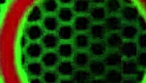 Hey, watch Kimber Lee craft a steamy Valentine's vid for her bf!