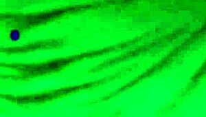 he sucked the carpenter's cock