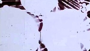 these rare vintage interracial musicians are playing