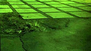 哇，这大奶奴隶超想被狂操！