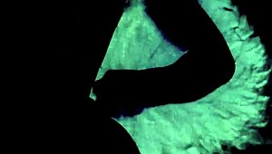 Dark lantern entertainment presents two centuries of vintage porn