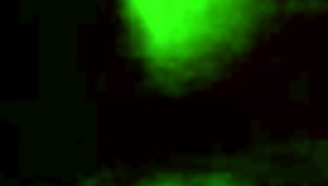 I Caught My Neighbor Fucking In The Bathroom