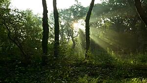 The beauty makes a beautiful blowjob and tries sperm 😍