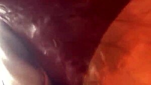 Piñata with diaper for intriguing fun