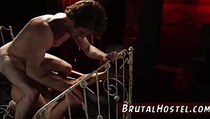 Excited young tourists felicity feline in rough adventure