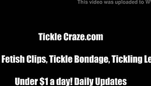 猫咪速成束缚挠痒技巧课