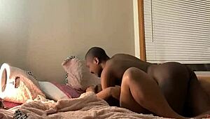 Pregnant Girlfriend Sucking