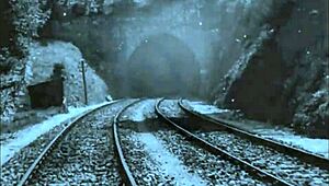 vintage erotic sketches hint at steamy hidden desires