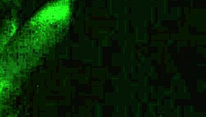 Me graba a escondidas mientras le cuento como me follo mi maestro de natacion hace algun tiempo