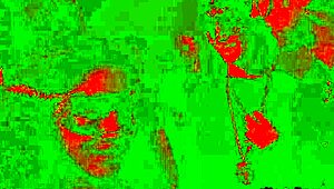 Maya Kendrick submits to domination in outdoor orgy with big tits blowjob