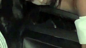 Jerking off to stranger through car window