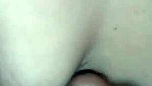 wife sucking my hard cock in pov.
