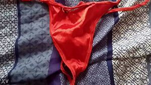 leche en las tangas de mi cuñada me excita