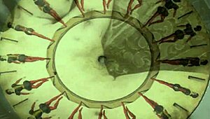 Exploring vintage erotic art