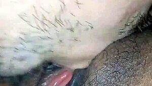 Chupandole El Coño Bien Rico A Mi Mujer