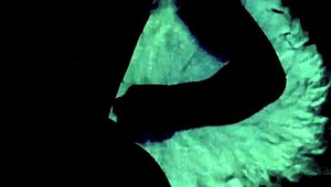 Vintage foursomes unfold with hairy retro group action in an antique setting.