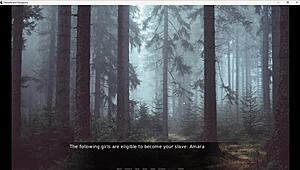 Damsels And Dungeons Part 12 Continues