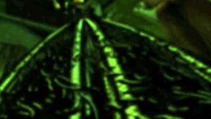 Lady Aranea，来舔我乳胶BDSM幻想？