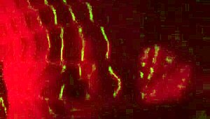 Intimate moments of pleasure on the ass