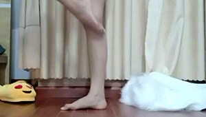 Chat Sex With Web Cam Partners