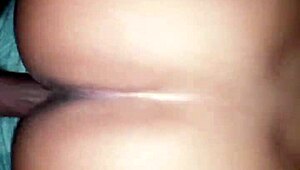 Download File from September 2, 2017