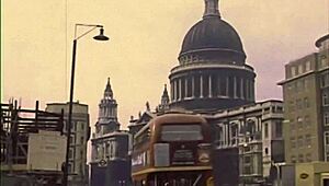 Check out this vintage hairy pussy collection